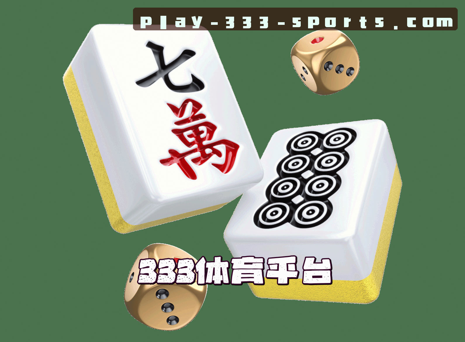 333体育官方网站
